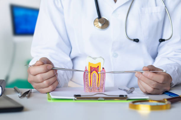 Best Walk-In Emergency Dentist in Butler, WI